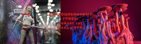 соль курить ск Белокуриха