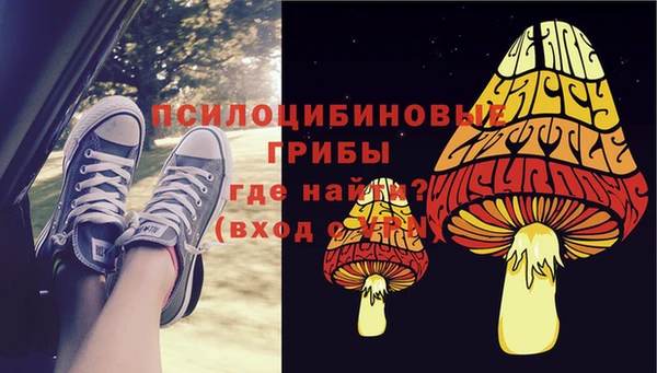 герыч Россошь