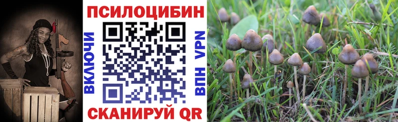 купить наркотик  гидра ссылки  Псилоцибиновые грибы MAGIC MUSHROOMS  Гагарин 